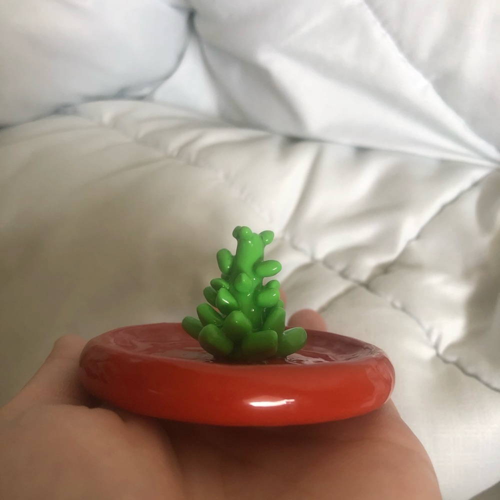 Handmade Polymer Clay Succulent Jewelry Dish